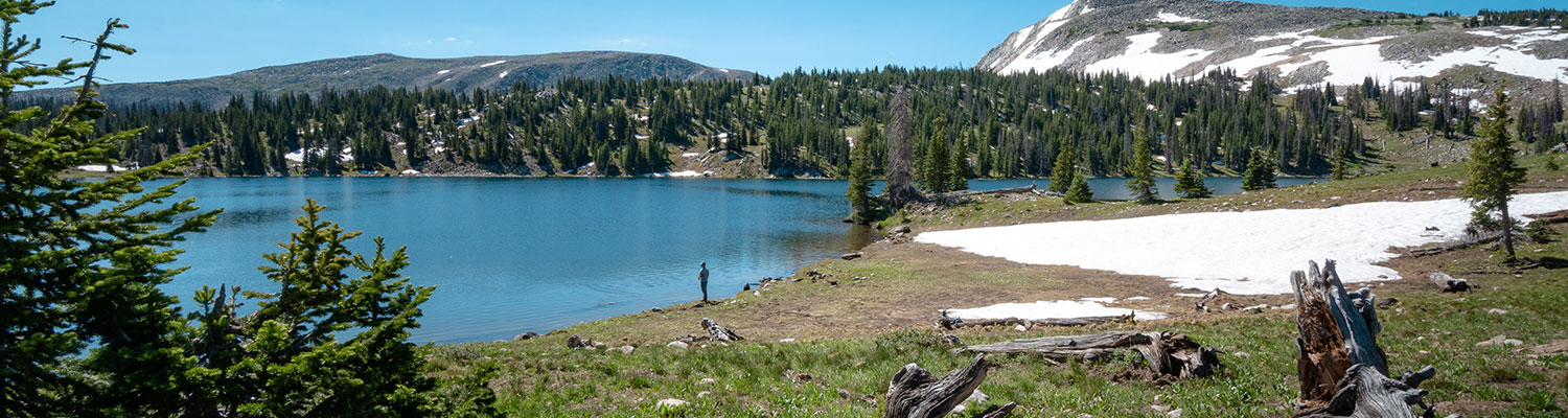 Medical Abuse Definition Of Medical Abuse By Medical Dictionary