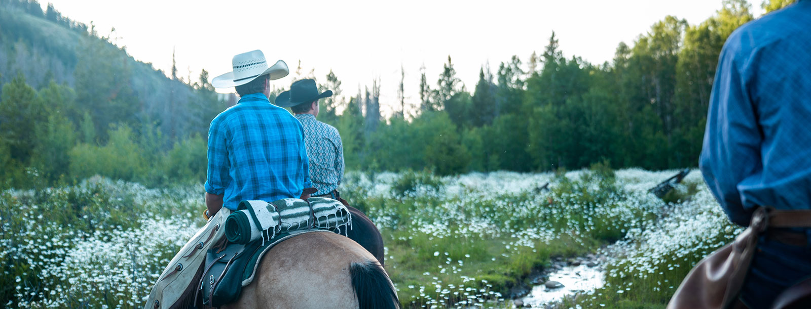 Medicine Bow Lodge Dude Ranch Mountain Cabins Saratoga WY Medicine bow