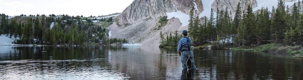 Explore Nature's Beauty at Medicine Bow Lodge Gallery